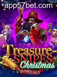 TreasuresnipesChristmas